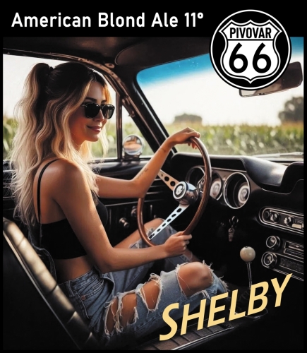 Shelby – Blond Ale 11°